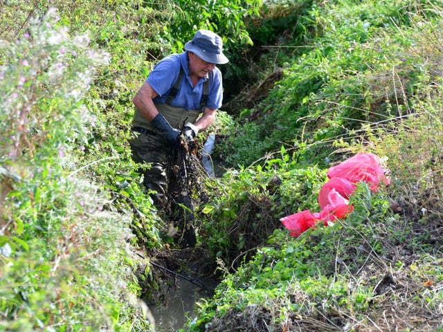 A mountain of detritus was recovered