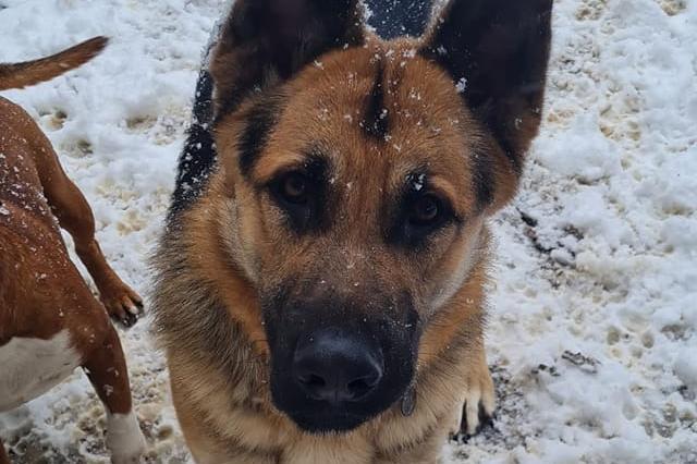 Gary, handling the snow like a pro