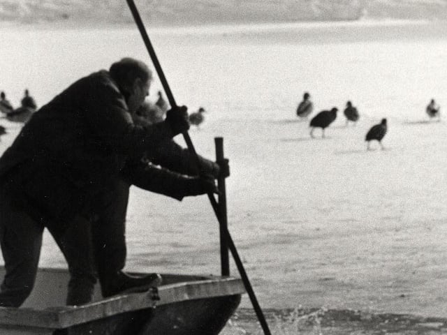 Breaking the ice for the wildfowl at Corby Boating Lake