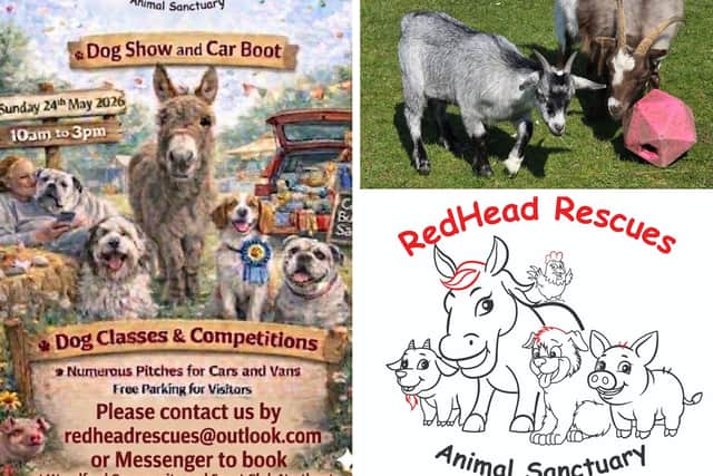 Redhead Rescues Animal Sanctuary near Kettering is at risk of losing its land so has launched a fundraising appeal