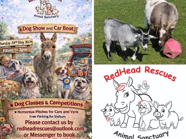 Redhead Rescues Animal Sanctuary near Kettering is at risk of losing its land so has launched a fundraising appeal