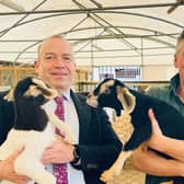 Chris Heaton Harris MP with new born goats at Mini Meadows Farm