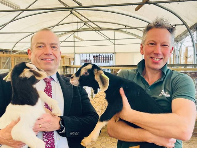 Chris Heaton Harris MP with new born goats at Mini Meadows Farm