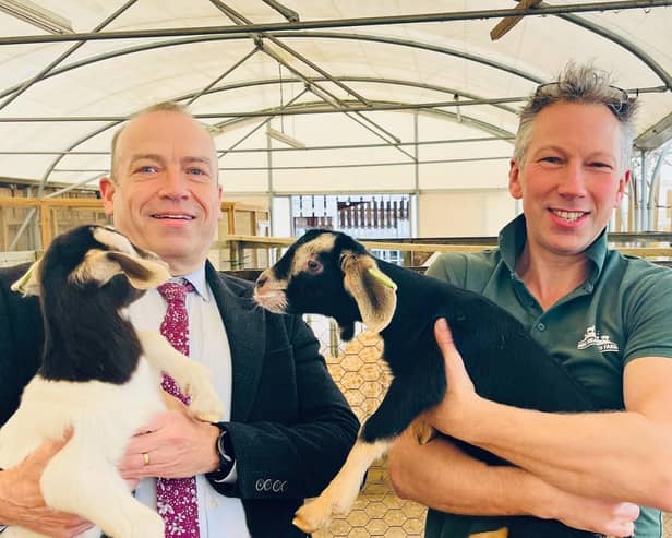 Chris Heaton Harris MP with new born goats at Mini Meadows Farm