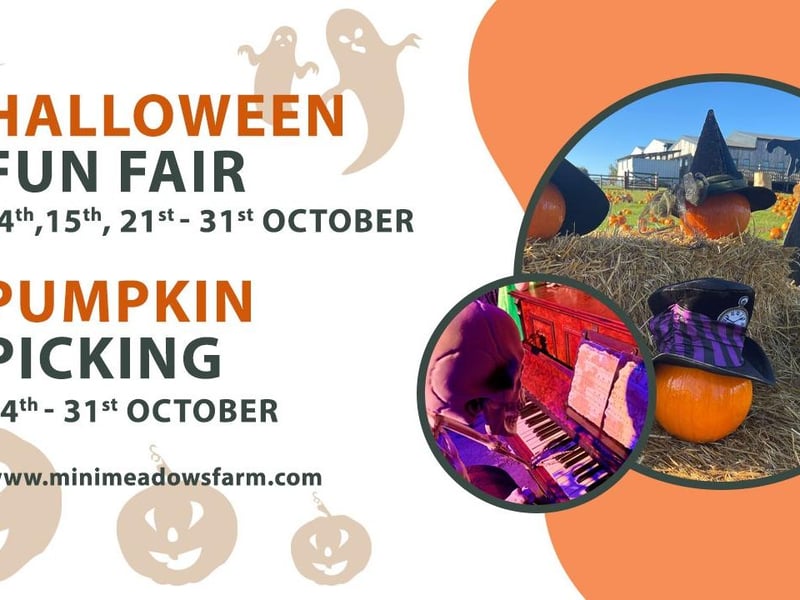 The fun fair will be take place on Saturday October 14 and Sunday October 15, and then from October 21 to October 31. There will be ghostly fun fair games, from find the key, frog flinger, duck range, ball in a bucket, spin the wheel to win a prize and more. There will also be apple bobbing and an autumn nature trail.
The pick your own pumpkin patch will be open from October 14 to October 31.