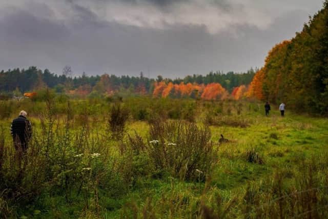An autumn view across the meadow. Credit: Dan Whitney