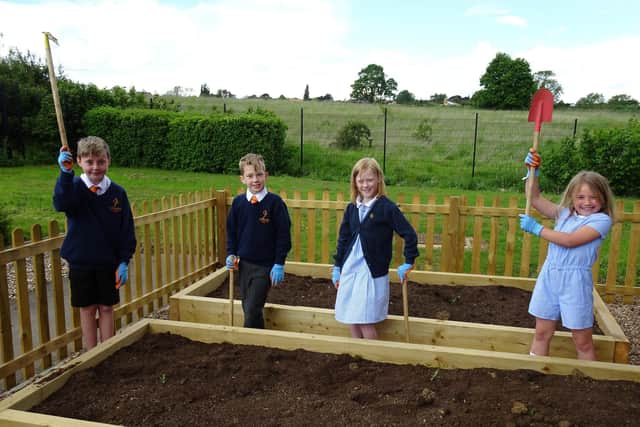 The Hayfield Cross school vegetable patch.
