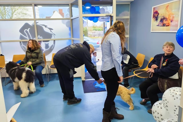 Stoley's Vets opening