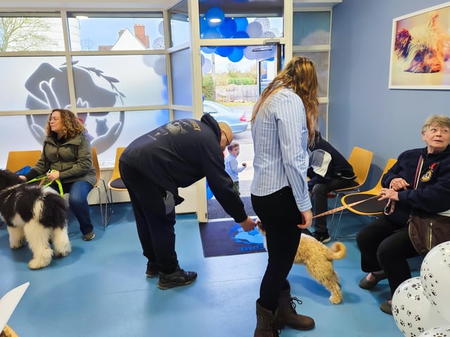 Stoley's Vets opening