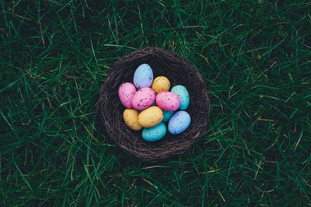Easter egg hunt