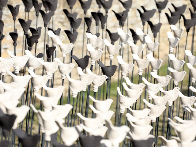 Art installation at Chester House for Cransley Hospice to mark the 25th anniversary of the Kettering hospice.
Artist Louise Crookenden-Johnson creator of the 500 handmade pottery robins, unveiled by Lord Lt James Saunders Watson
Friday, June 16, 2023