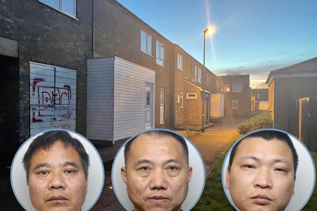 Three Chinese men were running a large cannabis farm from a property in Kiel Walk, Corby.