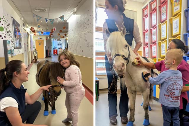 Children meeting the ponies on a recent visit to KGH