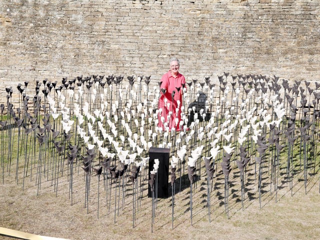 Art installation at Chester House for Cransley Hospice to mark the 25th anniversary of the Kettering hospice.
Artist Louise Crookenden-Johnson creator of the 500 handmade pottery robins, unveiled by Lord Lt James Saunders Watson
Friday, June 16, 2023