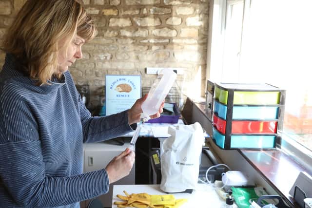 Caroline prepared warmed saline to rehydrate a poorly hedgehog.