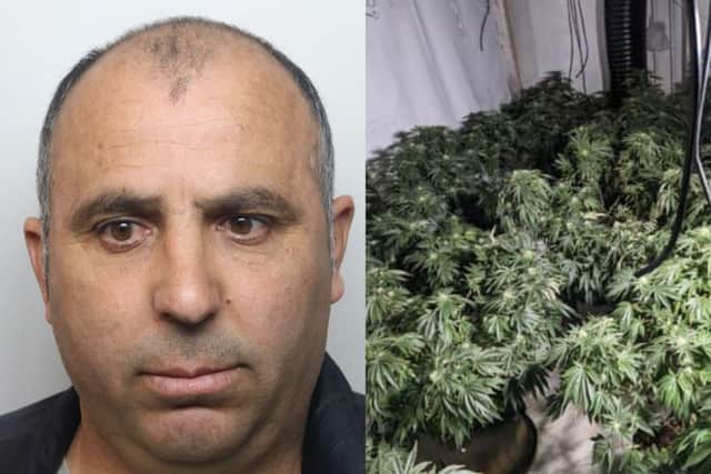 Armir Palushi was jailed for his role in this cannabis factory. Credit: Northamptonshire Police