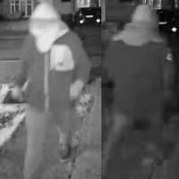 Police issue CCTV after dog ornament stolen from Rothwell drive