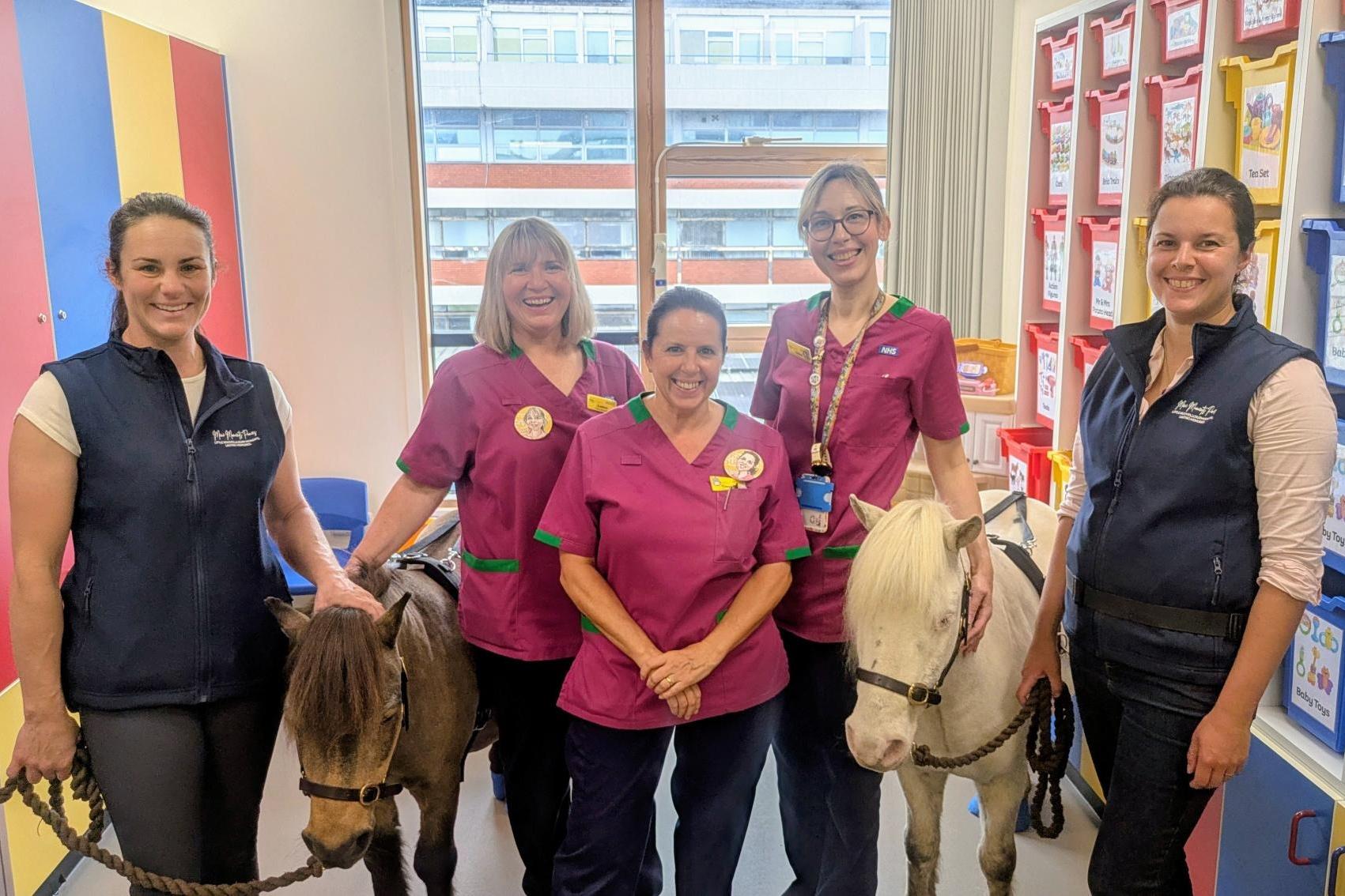 Northamptonshire woman's appeal to fund miniature therapy ponies visiting poorly children in hospital