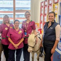 Northamptonshire woman's appeal to fund miniature therapy ponies visiting poorly children in hospital