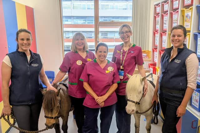 The ponies during their recent visit to KGH