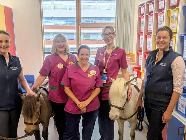 The ponies during their recent visit to KGH