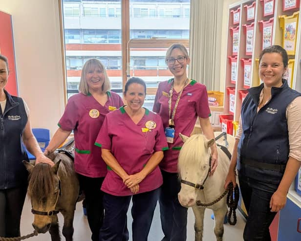 The ponies during their recent visit to KGH