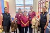 The ponies during their recent visit to KGH