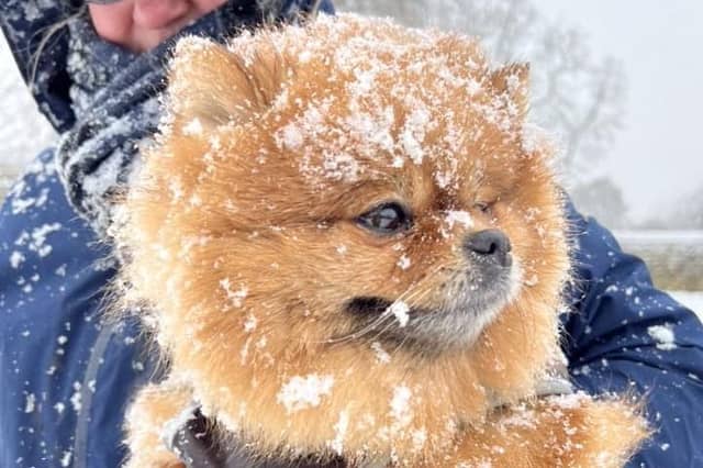 Better put my big coat on..