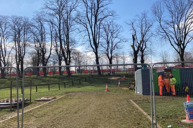 Contractors have not felled any trees today
