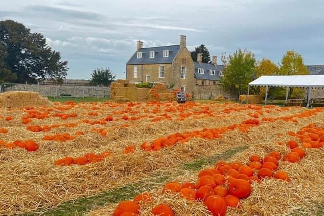 There's plenty going on in north Northamptonshire this Halloween