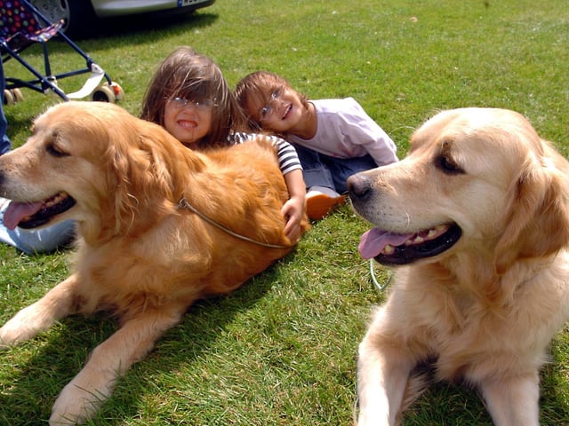 Wicksteed Park, Dog Show. Courtney Perry, 5, and Bethany Perry, 2, with Maisie and Flint August 2007
: