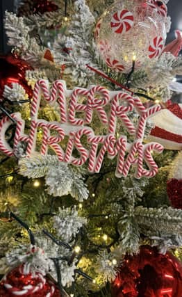The countdown is on! Light up your Christmas with Northampton Garden Centre