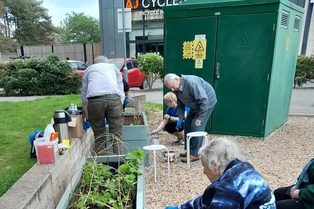 The new community garden at Rushden Lakes