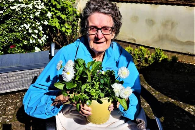 Sheila's Potted Display of Joy