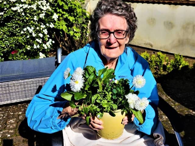 Sheila's Potted Display of Joy