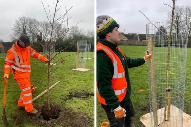 NNC has secured grant funding so it can plant 500 new trees across the area