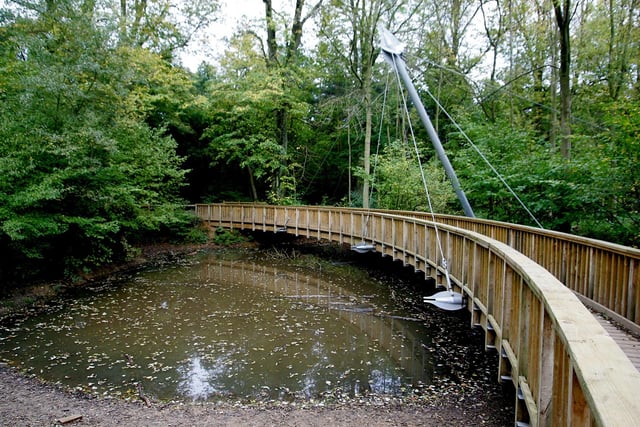 Salcey Forest's Tree Top Walkway won a Construction Industry Environment Award in 2006