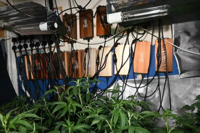Cannabis grow house in Thrift Street Irchester/ Northants Police