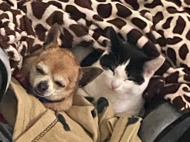 "This bed is not big enough for the two of us."