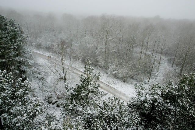 This winter scene was taken from the Tree Top Walkway during the winter of 2005