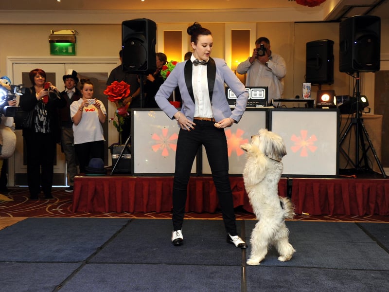 Ashleigh and Pudsey won the sixth series of Britain's Got Talent with an impressive display of dog tricks. The pair were from Wellingborough. Unfortunately, Pudsey died in 2017.
