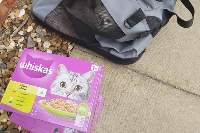 Food was left with the felines, who were in a collapsed cat carrier.