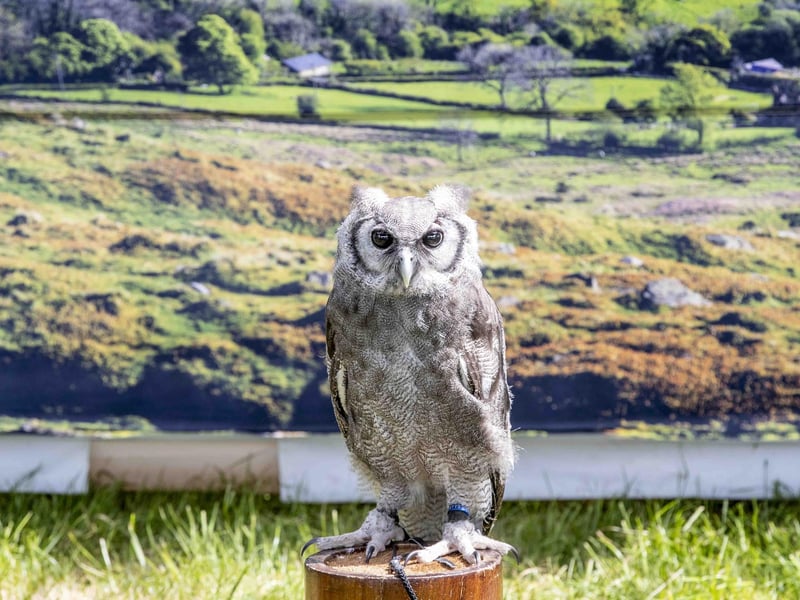 The event at Lamport Hall on May 28 and 29 was full of sunshine, smiles and something for the whole family.