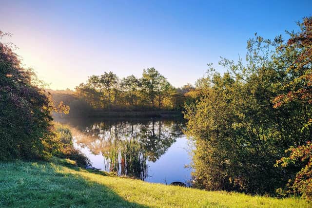 Pen Green lakes is a valuable wildlife haven. Image: IMG