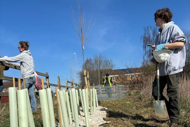 Hedgerows are not only good for reducing surface water, but support local wildlife.