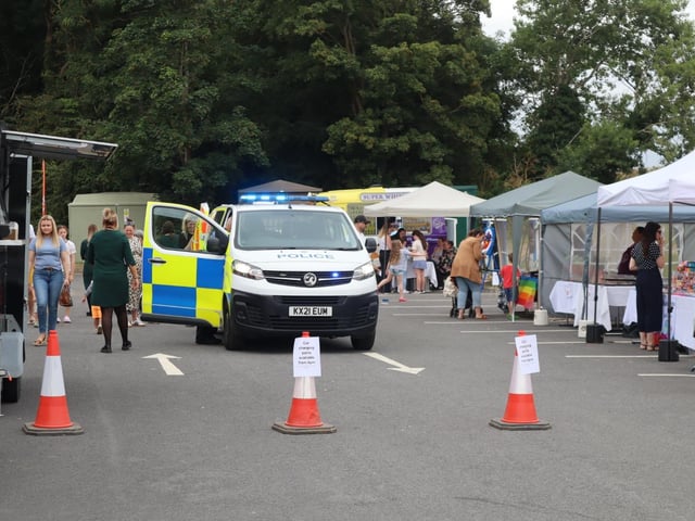 Iron Pit Woods summer fun day