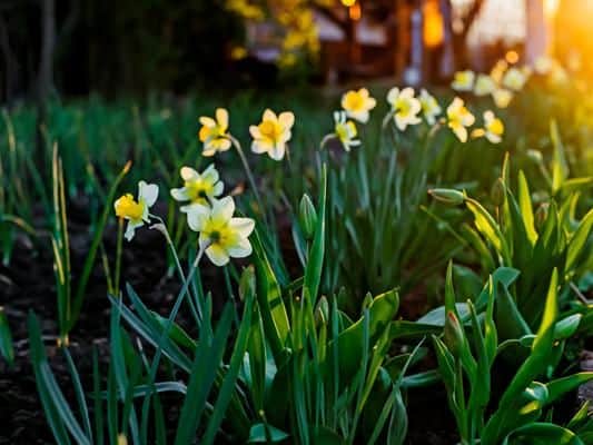 Easter will be shortly upon us, but with the bank holiday weekend just around the corner what is the weather set to be like in the Midlands?