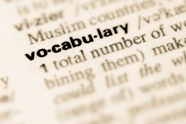 The vocabulary of four out of 10 pupils in their first year of secondary school is so limited that their grades are suffering (Photo: Shutterstock)