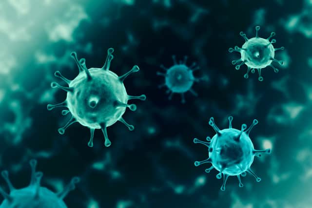 The new variant is different from the previously found mutations in South Africa and the UK (Photo: Shutterstock)