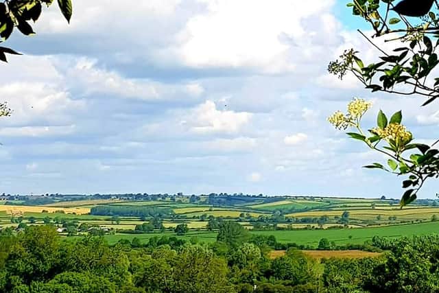 View from East Carlton Park